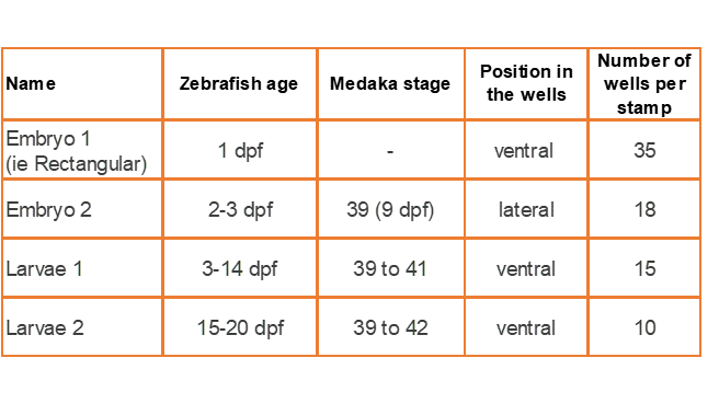 Stampwell Z - Zebrafish Imaging - GRE-MOU