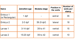 Stampwell Z - Zebrafish Imaging -  GRE-MOU