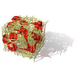 3D-Fect™ Transfection Reagent