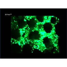 Load image into Gallery viewer, 3D-Fect™ Transfection Reagent