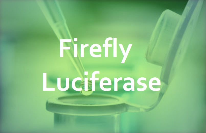 Tailored Lenti-firefly Luciferase All-In-One Packaging Kit (10x100mm plate)