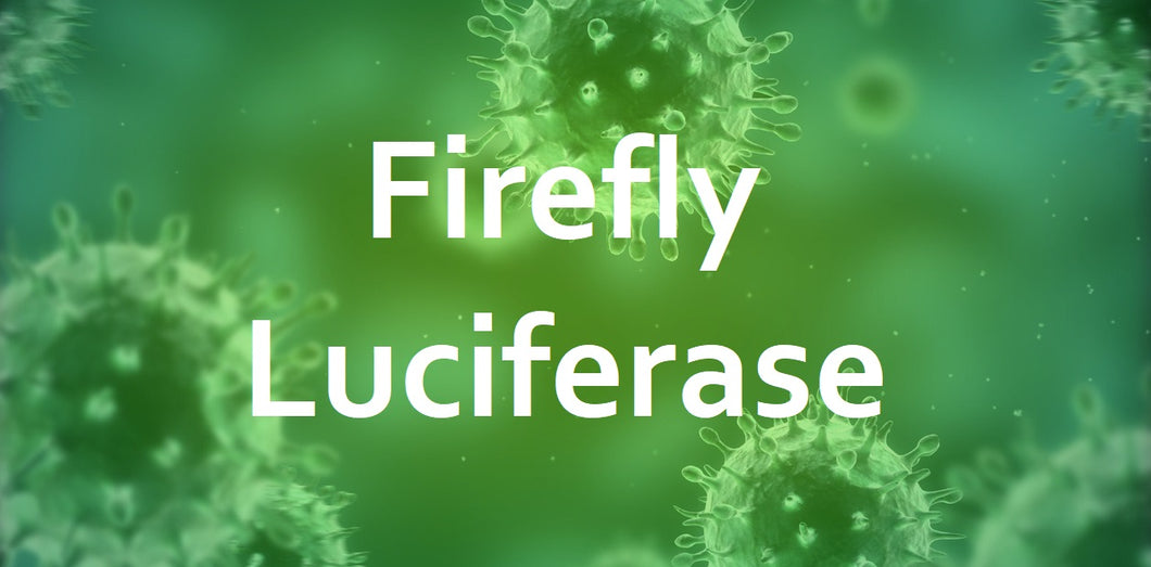 Pre-Made LVV firefly Luciferase (500uL)