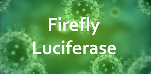 Pre-Made LVV firefly Luciferase (1000uL)