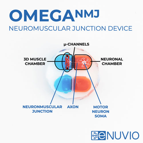 OMEGA-NMJ - Neuromuscular Junction Device
