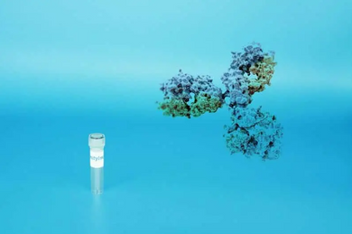 Nimotuzumab Biosimilar - Research Grade - ab-131-nimotuzumab