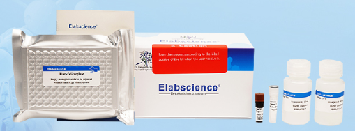 Triglyceride (TG) Colorimetric Assay Kit (Single Reagent, GPO-PAP Method) - E-BC-K261-M