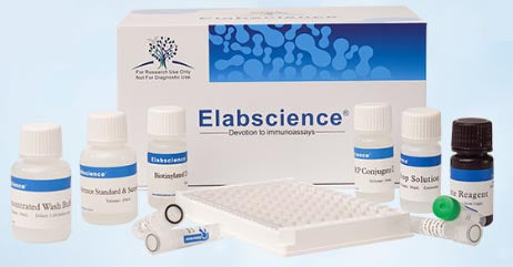 Mouse MIγ/CXCL9 (Monocyte Interferon Gamma Inducing Factor) ELISA Kit - E-EL-M3077