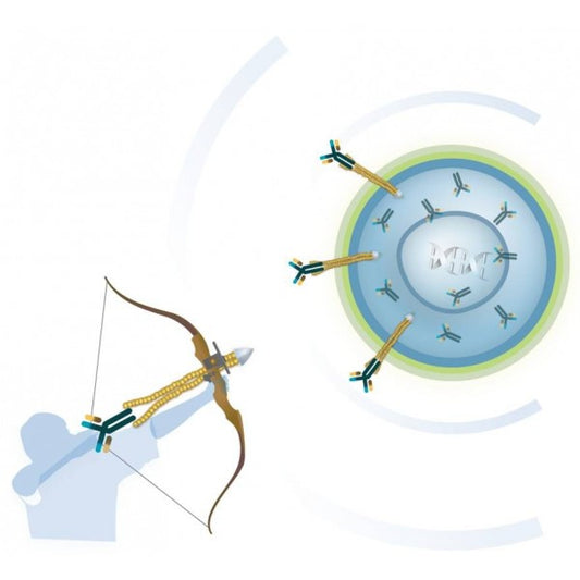 Ab-DeliverIN™ Transfection Reagent