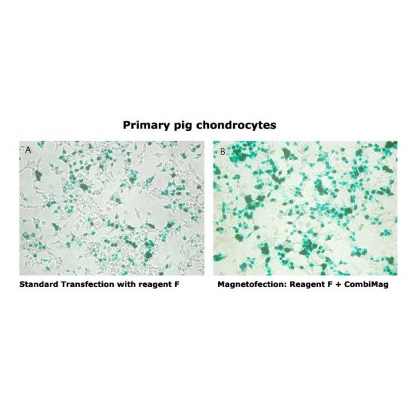 CombiMag Transfection Reagent