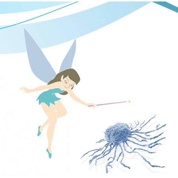 DreamFect™ Stem Transfection Reagent