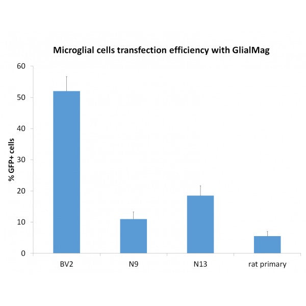 Glial-Mag Transfection Kit