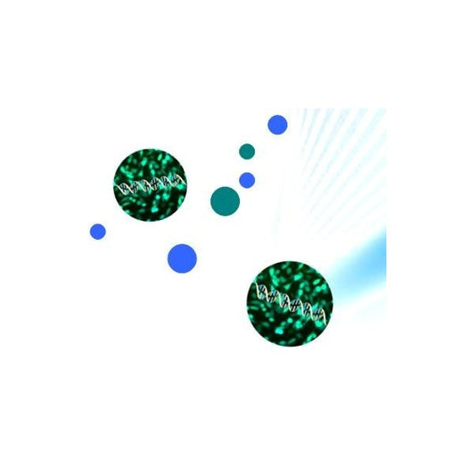 HeLaFect Transfection Reagent