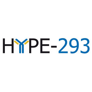 HYPE-293™ Transfection Kit