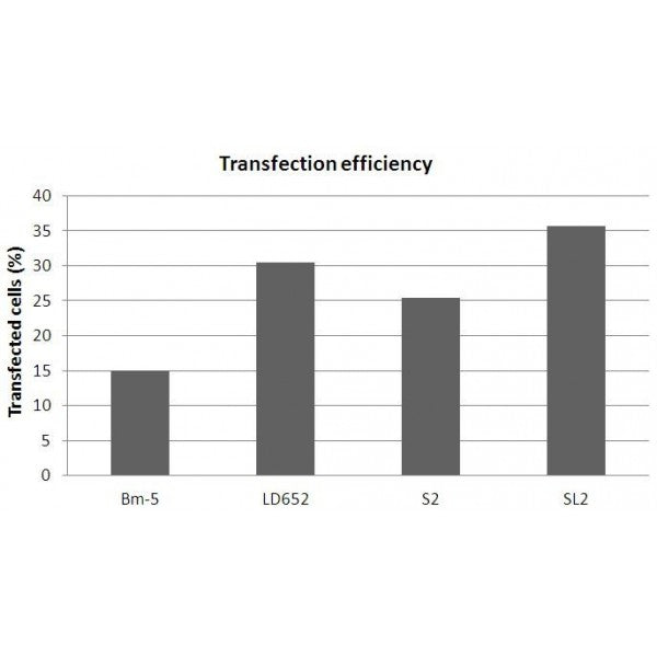 FlyFectin™ Transfection Reagent