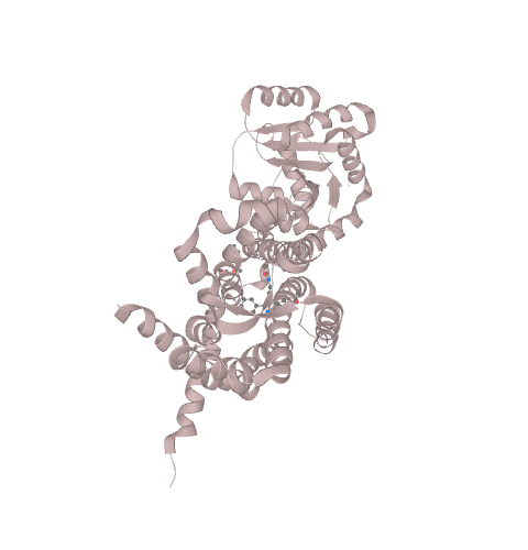 Recombinant Human Melatonin Receptor Type 1A - 10 µg