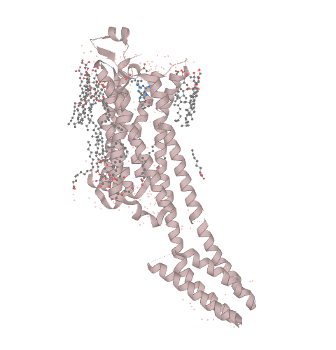 Recombinant Multidrug Resistance ABC Transporter ATP-Binding - 10 µg
