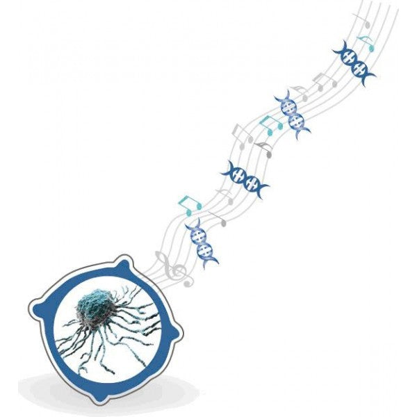 Lullaby Stem siRNA Transfection Reagent