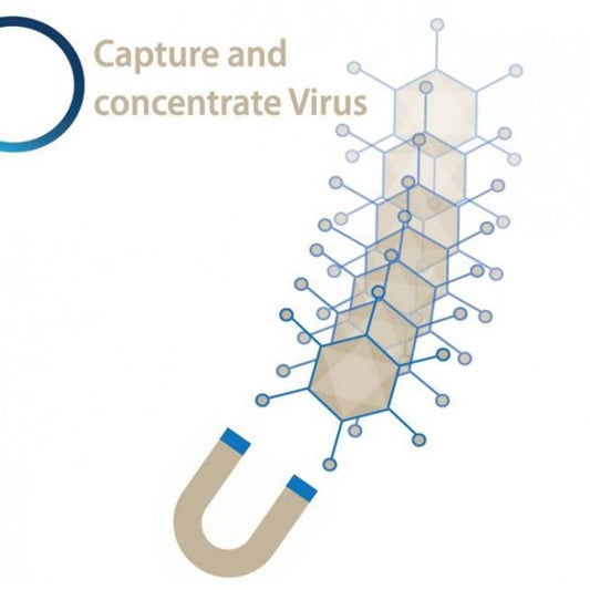 Mag4C Conservation Buffer