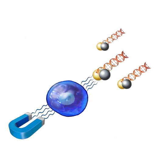 Magnetofectamine O2 Transfection Kit