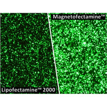 Load image into Gallery viewer, Magnetofectamine O2 Transfection Kit