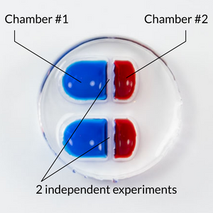 OMEGA-4-2mini - Two Half Chamber Neuronal Compartmentalization and Co-Culture Device