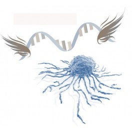 RmesFect™ Stem Transfection Reagent