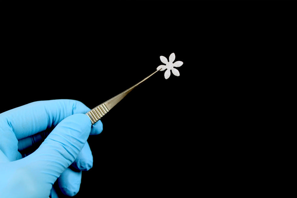 GradientEZ 3D cell migration system, 6-petal (pack of 12)