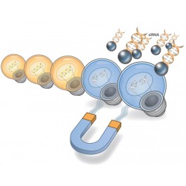 SilenceMag siRNA Delivery Reagent