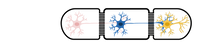 Load image into Gallery viewer, OMEGA-ACE-96 - HTS Microplate Format; Triple-Chamber Compartmentalization and Co-Culture Device