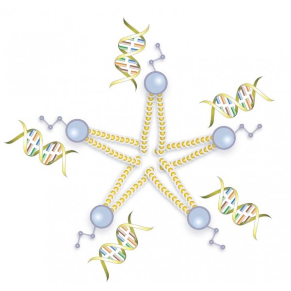 VeroFect Transfection Reagent