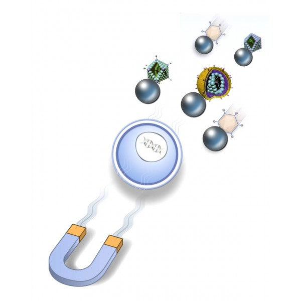 ViroMag Transduction Reagent