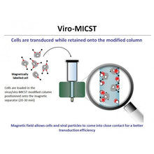 Load image into Gallery viewer, Viro-MICST Transduction Reagent