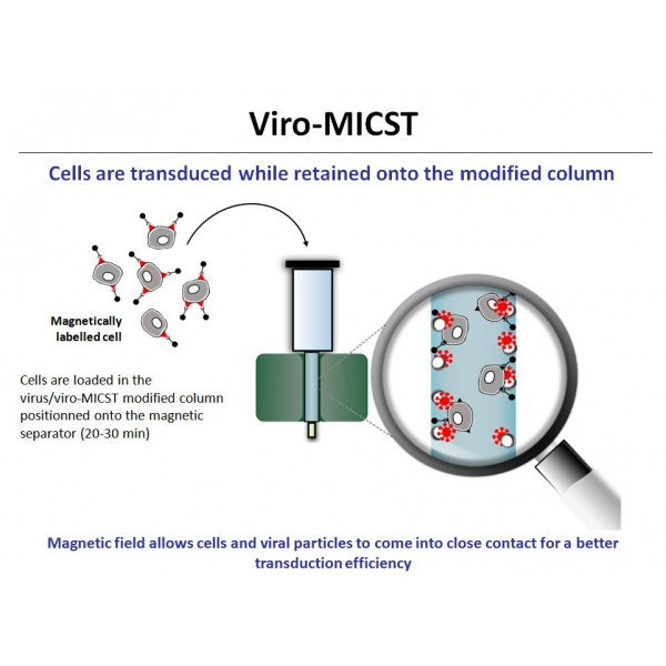 Viro-MICST Transduction Reagent